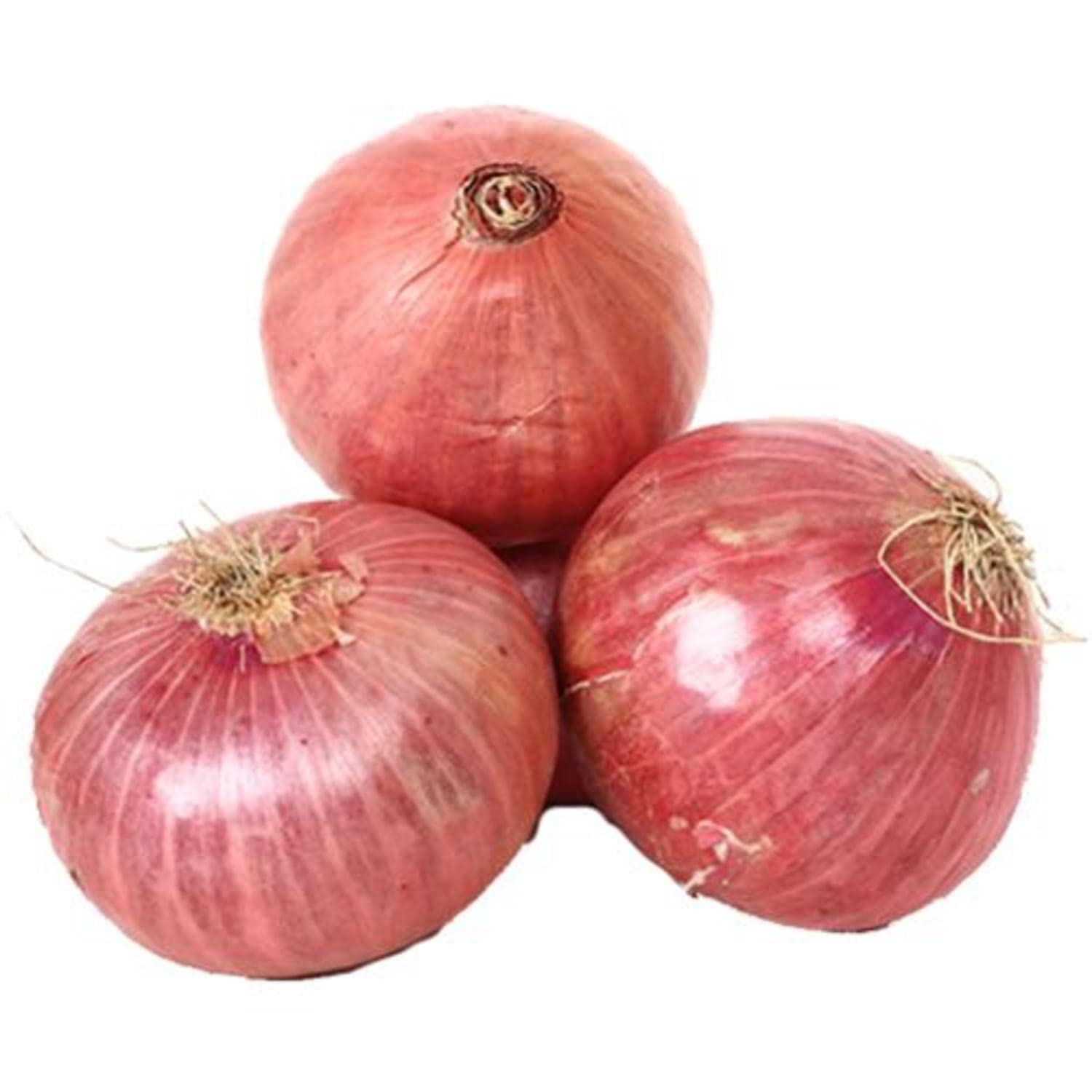 61FzmvBKfbL Indian Onion 5 kg بصل هندي 5 كجم - الصورة 1