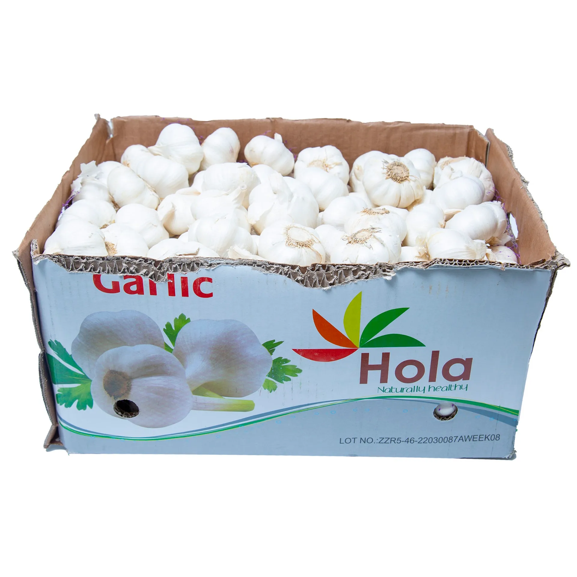 bb480328-6e4d-49d2-b7fd-0ac4330c64dd_size1920_cropCenter Garlic White China 9.5 kg ثوم أبيض صيني 9.5 كجم - الصورة 1
