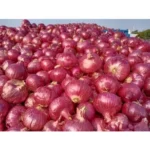 onion 10kg from india بصل هندي 10 كجم