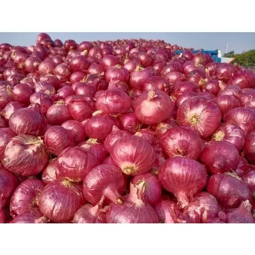 fresh-onion-500x500 onion 10kg from india بصل هندي 10 كجم - الصورة 1