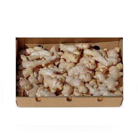 images Indian Ginger 4 kg Box زنجبيل هندي 4 كجم صندوق - الصورة 1